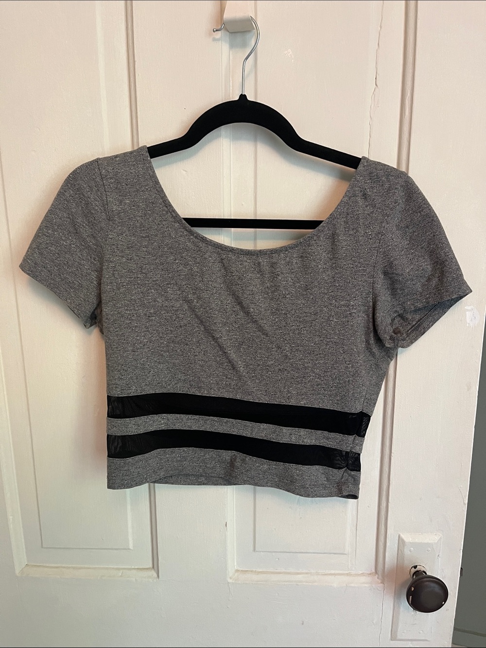 Gray Short Sleeve Crop Top with Sheer Black Stripes